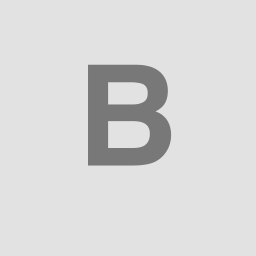btsow logo