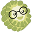 苦瓜书盘 logo