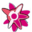 AcgnX末日动漫资源库 logo